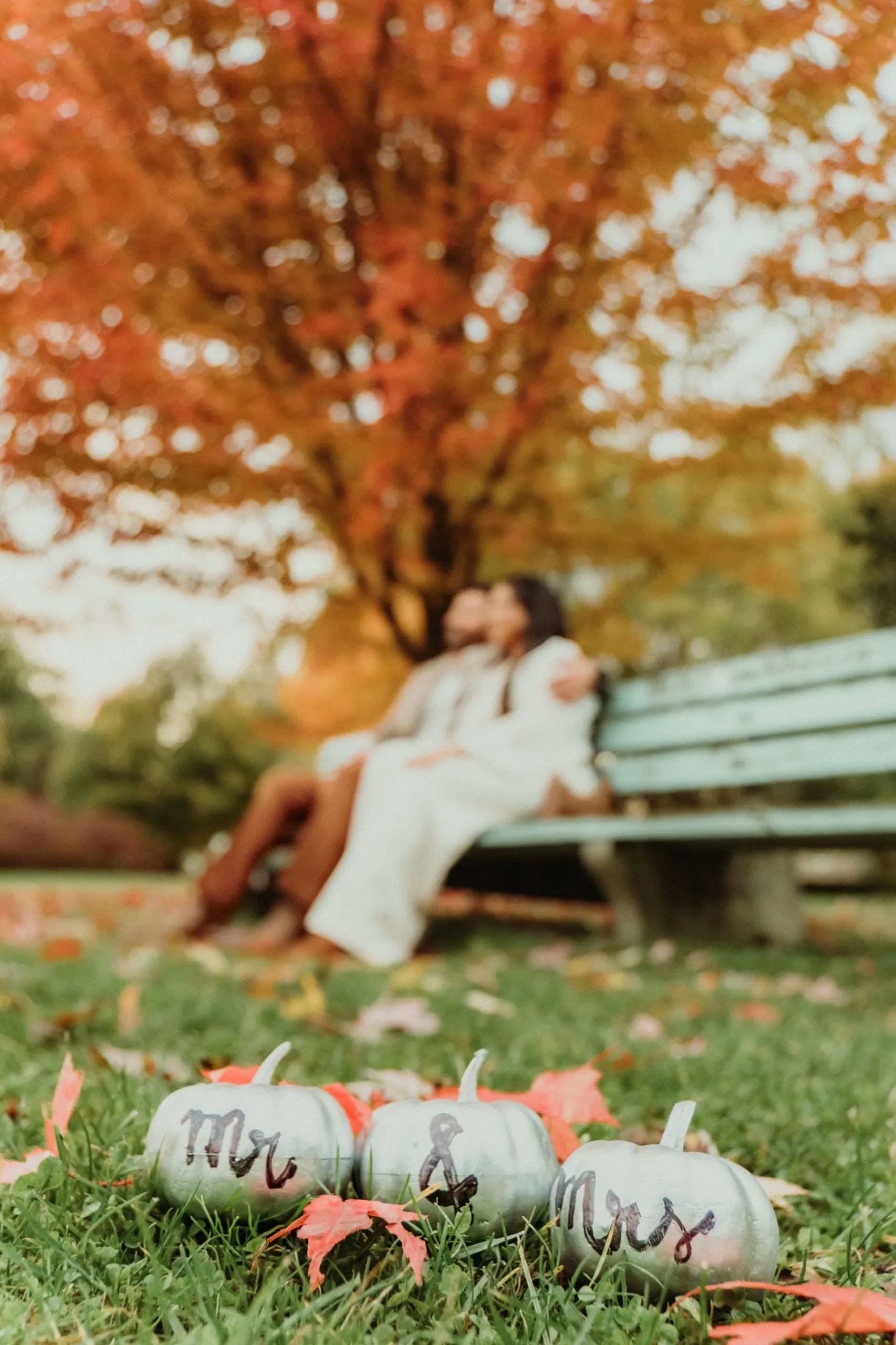 Manisha + Harish, Toronto Island, RC Harris & Downtown photography by AD Photography