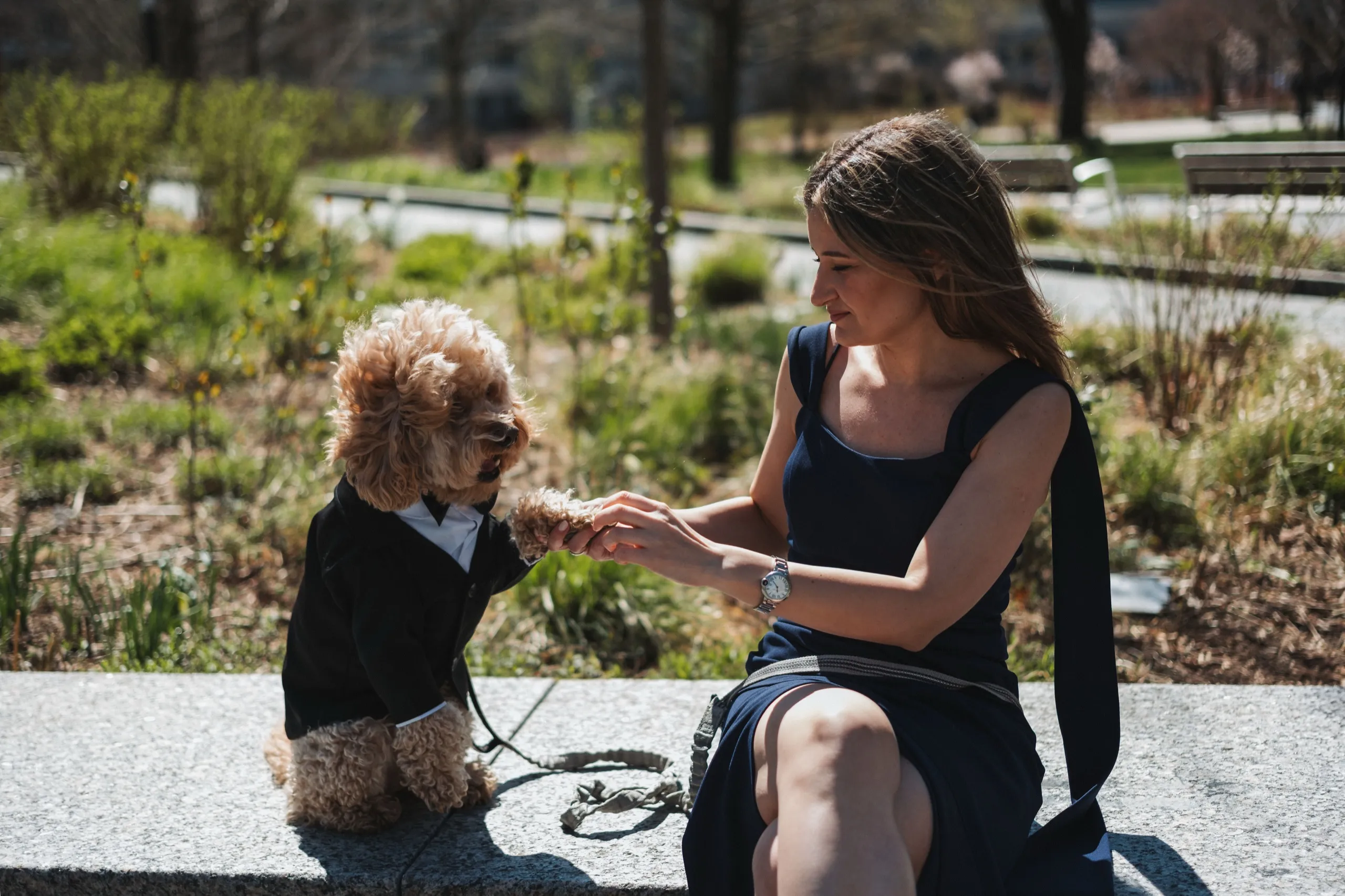 Preet + Roxana, University of Toronto, Toronto photography by AD Photography